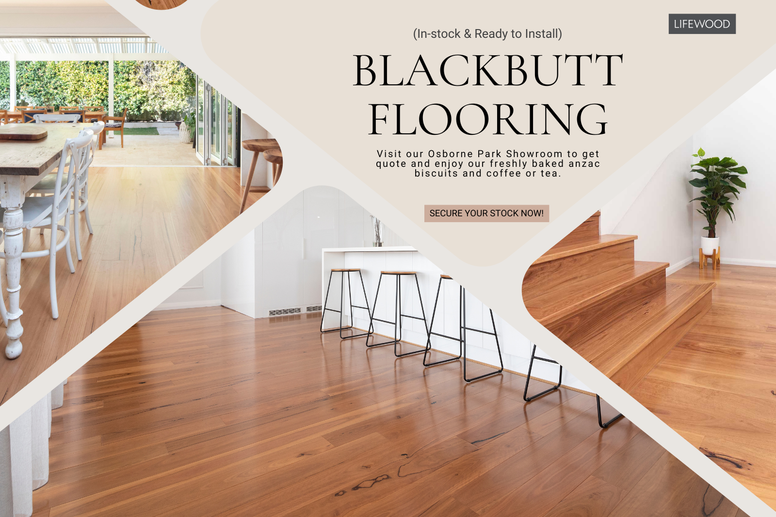 blackbutt-supplier-perth (1)-1